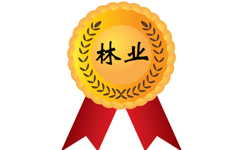 林業工程各專業高級工程師成果獎勵