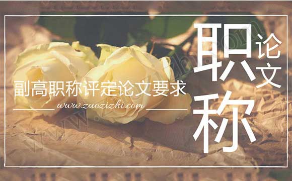 副高職稱評(píng)定論文要求