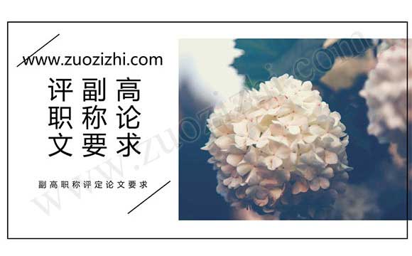 副高職稱評(píng)定論文要求