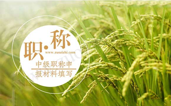 中級職稱申報材料填寫