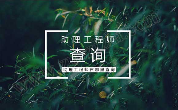 助理工程師在哪里查詢
