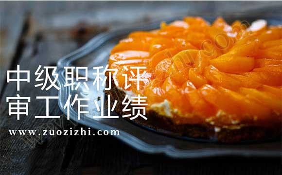 中級職稱評審工作業績