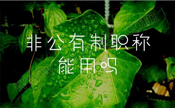 非公有制職稱能用嗎