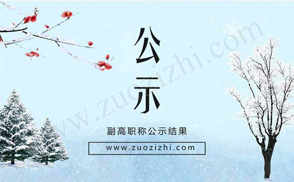 副高職稱公示結果