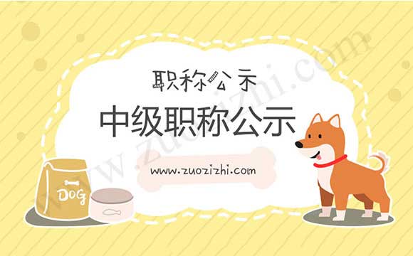 職稱評審?fù)ㄟ^公示