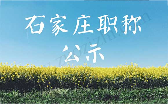 石家莊職稱公示