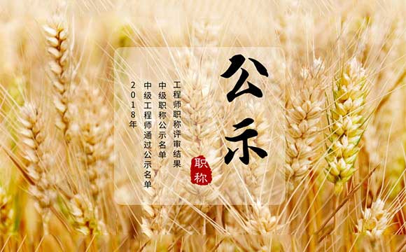 工程師職稱評審結果