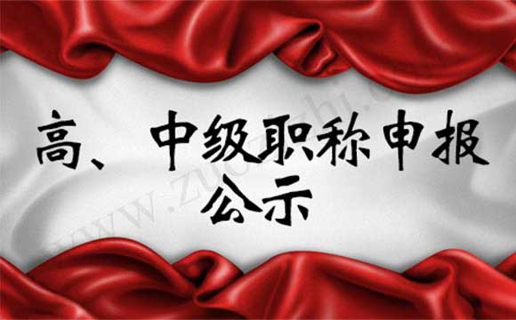 中級職稱評審公示