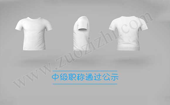 職稱通過公示名單