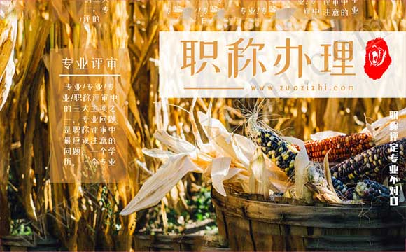 職稱評定專業不對口