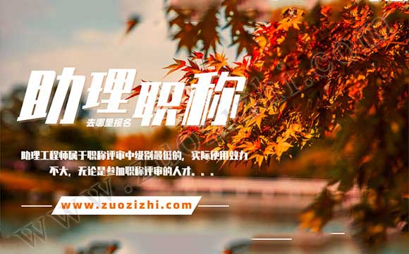 助理工程師辦理網站