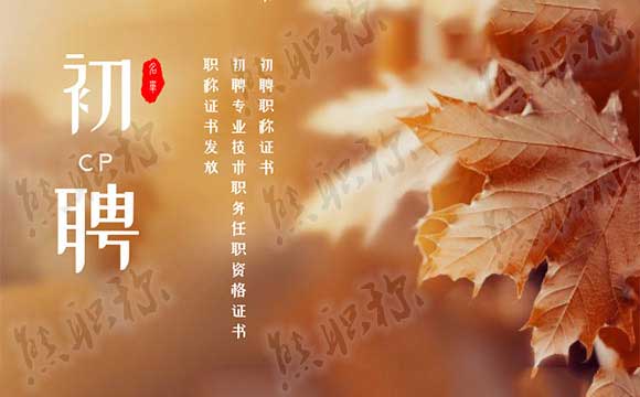 初聘專業技術職務任職資格證書