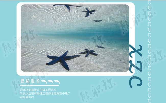 可以直接評中級工程師