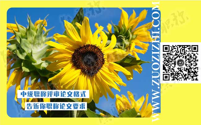 中級職稱評審論文