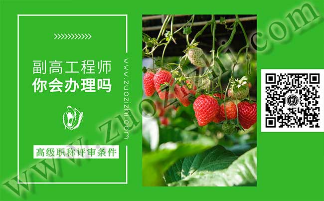 副高級職稱申報條件