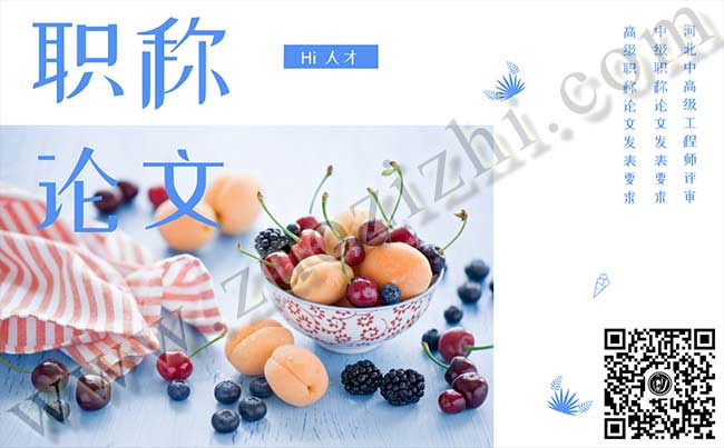 中級職稱論文發(fā)表要求