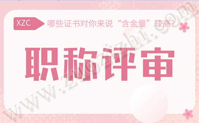 職稱(chēng)評(píng)審