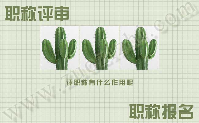 換地區以后職稱還可以用嗎