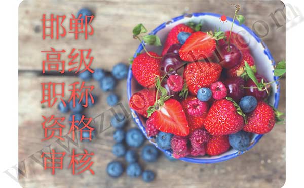 邯鄲高級職稱資格審核