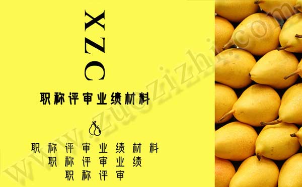 職稱評(píng)審業(yè)績材料