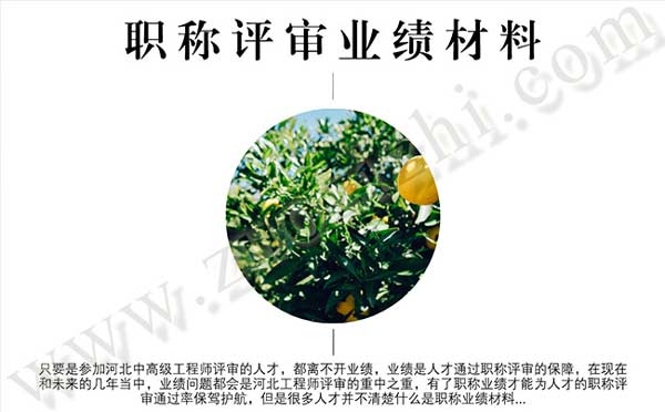 職稱評(píng)審業(yè)績材料