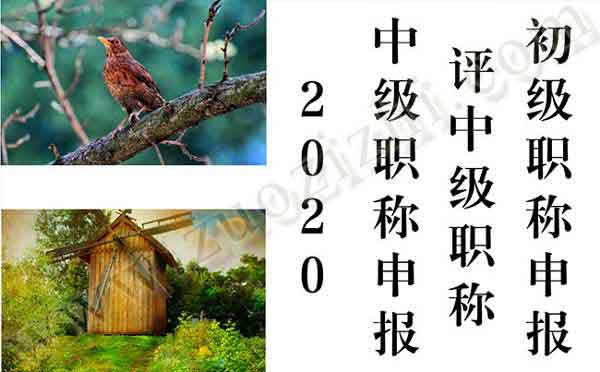 2020年中級(jí)職稱申報(bào)