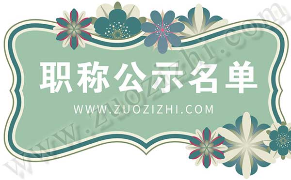 輕工工程中級職稱評審公示