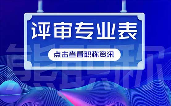 中級評審專業表