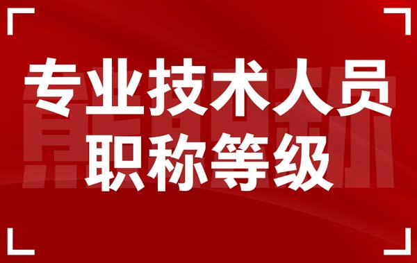 專業(yè)技術(shù)人員職稱等級(jí)