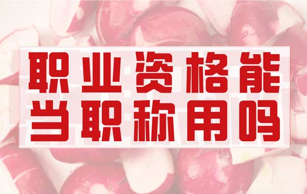 職業(yè)資格能當(dāng)職稱用嗎