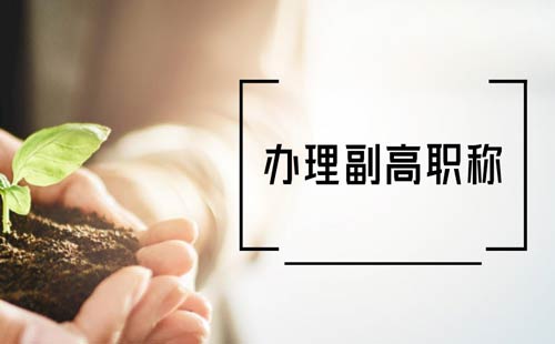 辦理副高職稱