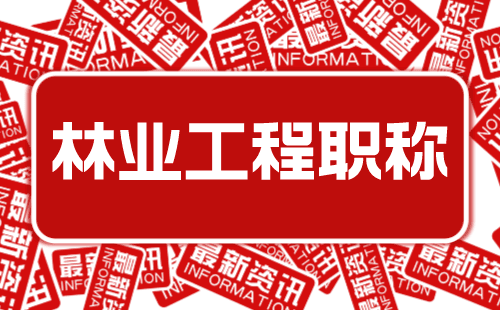 林業職稱申報條件