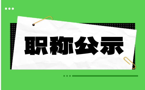 工程師職稱公示 職稱評審公示