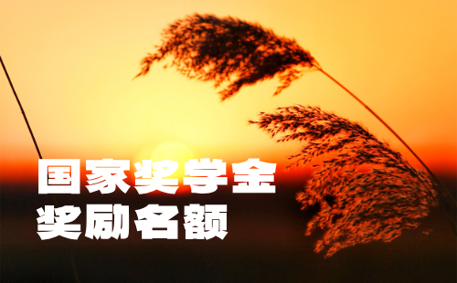 國家獎學金獎勵名額