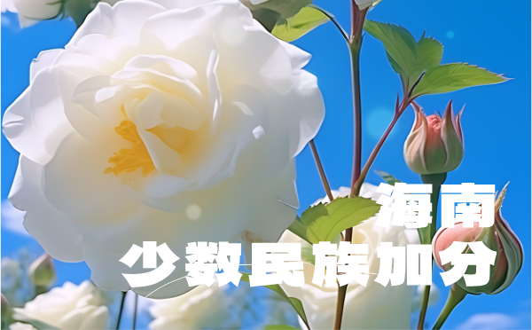 2025海南高考少數(shù)民族加分網(wǎng)上申辦