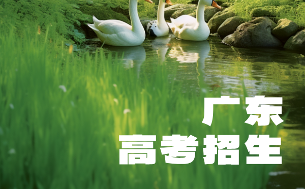 廣東2025普高招生考試報名規定