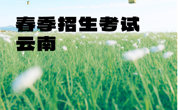 云南省2025年春季招生考試報考說明