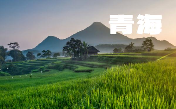 2025江西高考報(bào)名時(shí)間及方式