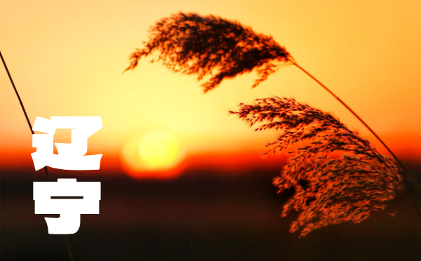 2024年遼寧高考分數線