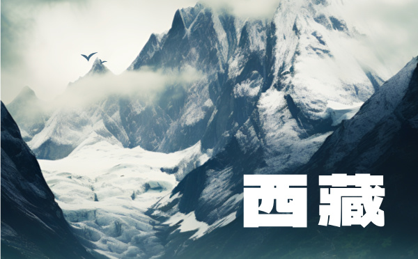 2024年西藏高考分?jǐn)?shù)線