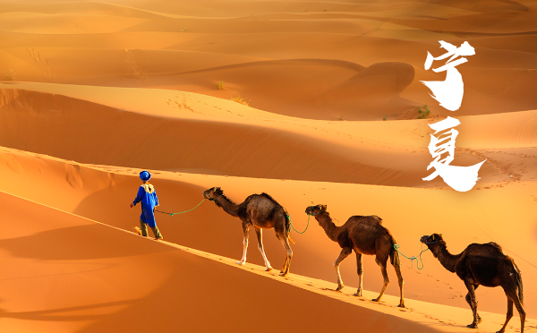 寧夏高考錄取歷年分數線、批次線、控分線（更新中...）