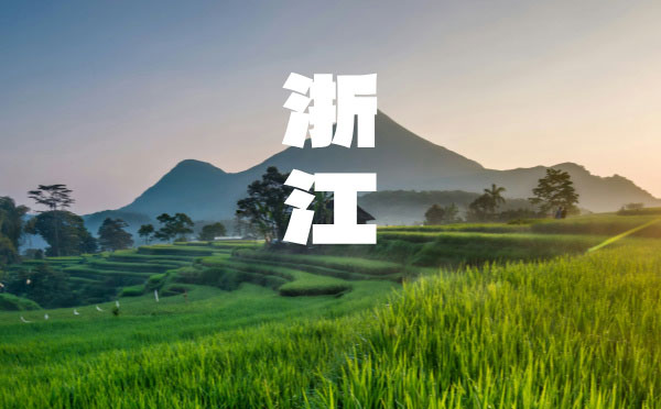 2024陜西高考錄取結果