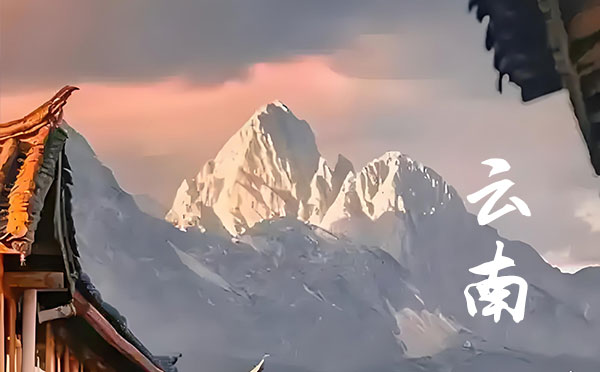 2024陜西高考錄取結果