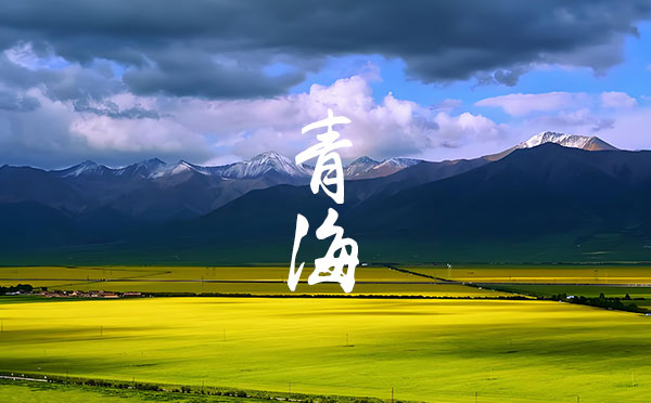 2024陜西高考錄取結果