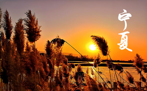 2024陜西高考錄取結果