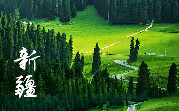 2024陜西高考錄取結果