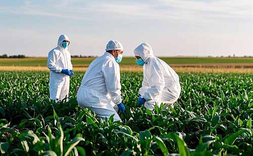 定州農業中級職稱報考條件