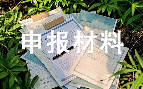 中級職稱申報材料