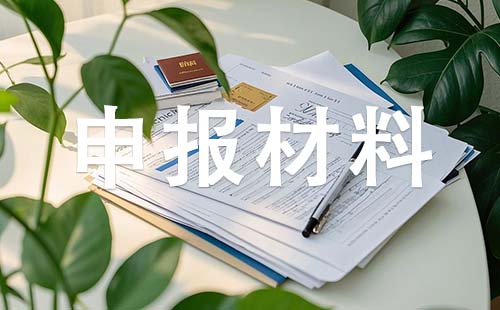 中級(jí)職稱申報(bào)材料