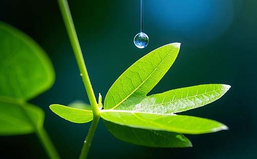 自然科學(xué)研究人員職稱評(píng)價(jià)基本標(biāo)準(zhǔn)條件